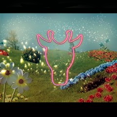 Lucid Dream Picnic