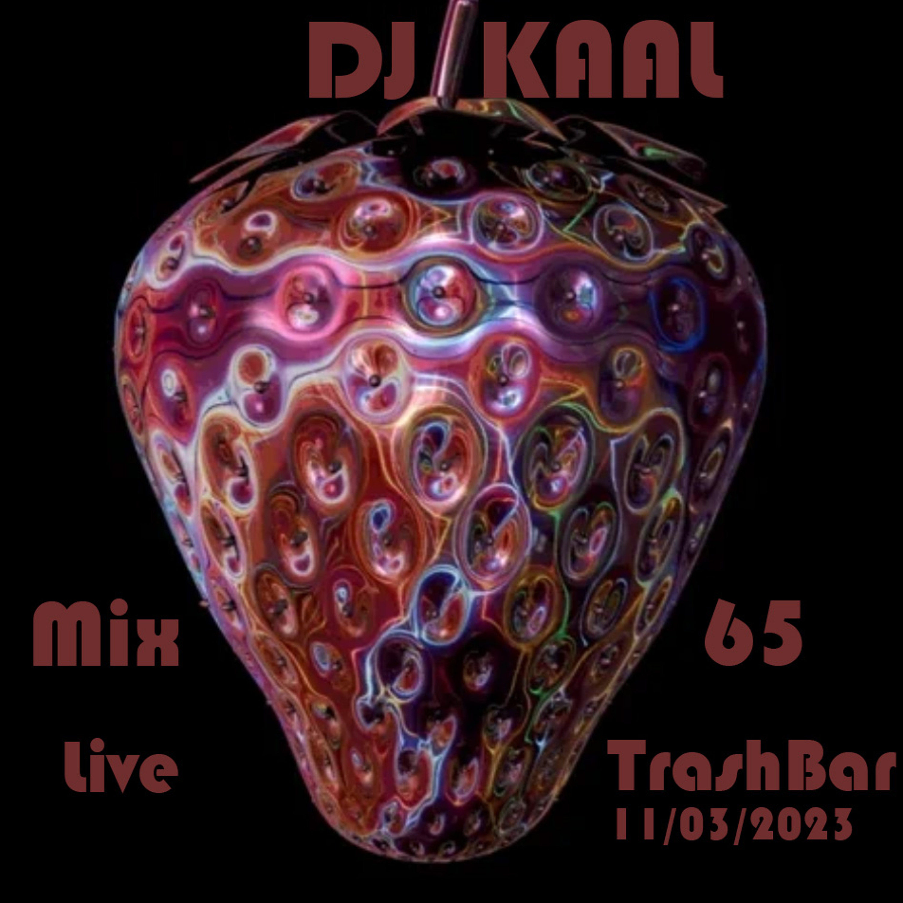 DJ KAAL - Mix 65 - Live TrashBar 11 03 2023 episode artwork