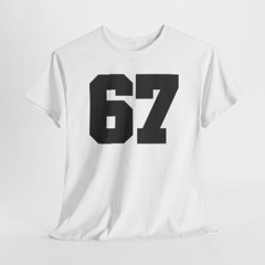 Aritzia 67 Shirt