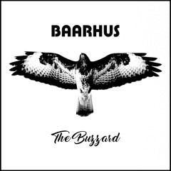 The Buzzard
