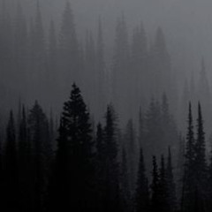 living life in the night (HardTekk)