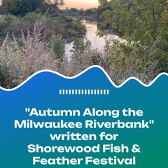 "Autumn Along The Milwaukee Riverbank " written for the Shorewood Fish and Feather Festival