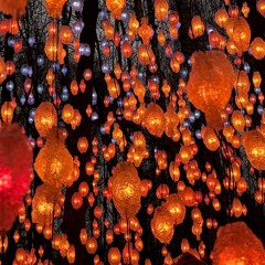 Tangerines