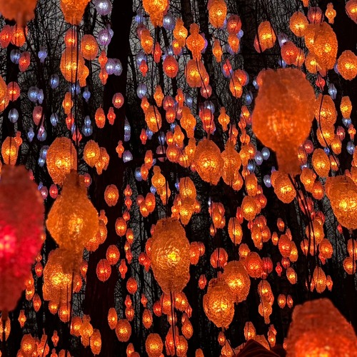 Tangerines