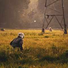 Gabrielle Kruks-Wisner: The Politics of Citizens’ Complaints in Rural India