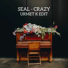 Seal - Crazy (Urmet K Edit) Free Download