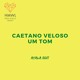 on Free Download: Caetano Veloso - Um Tom (Ayala Edit)