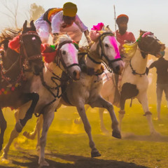 Holi Kini Sant Sev