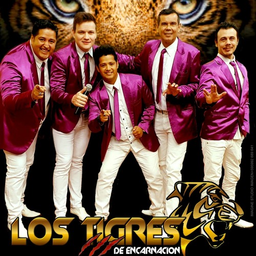 Stream A partir de hoy-Los Tigres de Encarnación.mp3 by 𝔏𝔬𝔰 𝔗𝔦𝔤𝔯𝔢𝔰  𝔡𝔢 𝔈𝔫𝔠𝔞𝔯𝔫𝔞𝔠𝔦ó𝔫🐅 | Listen online for free on SoundCloud