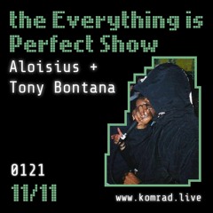Everything is Perfect Show 008 Aloisius + Tony Bontana [jungle set]
