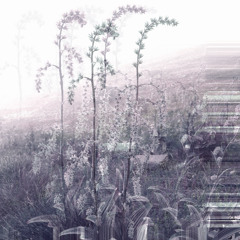 outside err (disquiet0715)