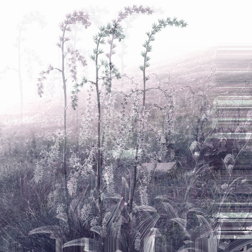 outside err (disquiet0715)