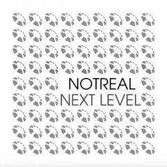 01  NotReal  Next Level    Electrohouse