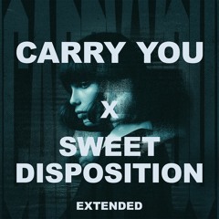 Martin Garrix - Carry You x Sweet Disposition (Extended) (Martin Garrix UMF x Nishant C Mashup)