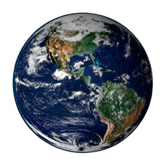 whenwas (vincent gallo cover)