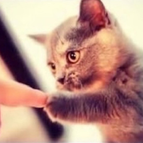 why cant i let you go