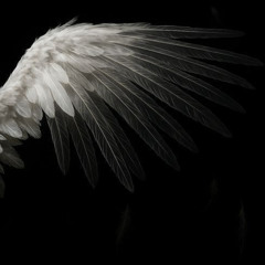 How We Rockin' [Xavrr.flp]