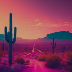 🌵Tequila Sunset🌵Breakbeat Mix