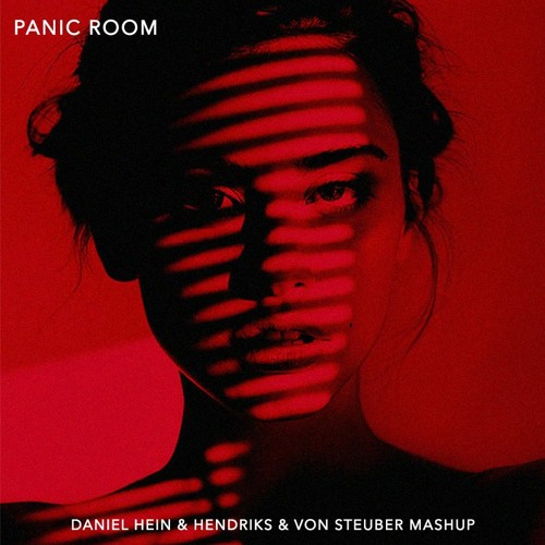 Camelphat X ARTBAT - Horizon X Panic Room (Daniel Hein X Hendriks X von Steuber Mashup)