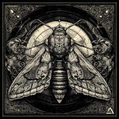 Mothlight