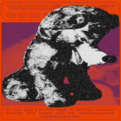 Hogett - Agresiune (DLR002)