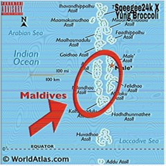 THE MALDIVES DOES NOT EXIST! (feat. Yung Broccoli) [prod. M.A.B.E.D.T.S.M.P]