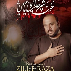 Khoon Shair e Khuda Ka Bahaya Gaya  --  Zill e Raza  --  Shahadat Mola Ali (a.s)  --  2024