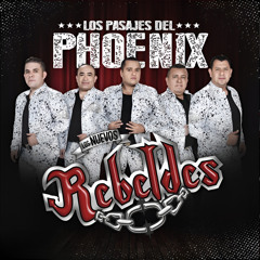 Los Pasajes Del Phoenix