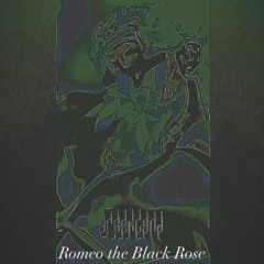 Romeo the Black Rose 90bpm