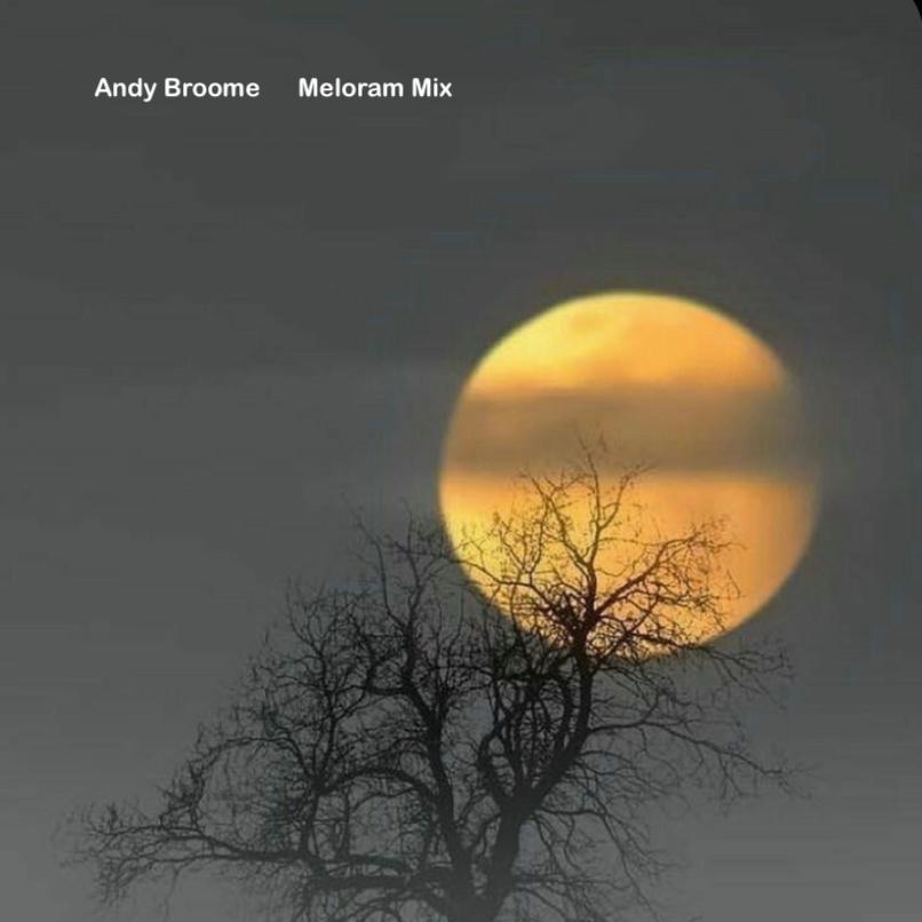 Andy Broome. Meloram Mix episode artwork