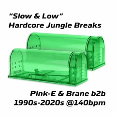 Pink-E & Brane — Slow & Low 140bpm Hardcore Jungle Breaks