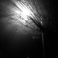 Interspecies Makeout (Short Mix)