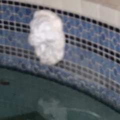 marty gras (prod.me)