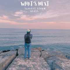 02 - Scarlet Storm Beats - Am I Crazy