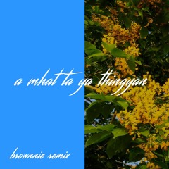 A Mhat Ta Ya Thingyan  - brownnie Remix