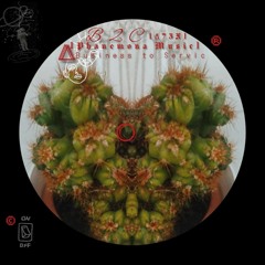 Sueño Intrinseco (Phanemona Music)