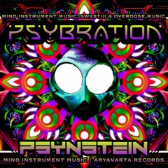 Psybration Music Festival Mixtape