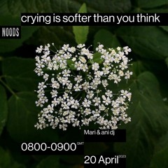 Noods Radio #2 - crying is softer than you think, Mari & ani dj (20/04/23)
