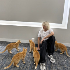 DROPO - volta pra sua casa