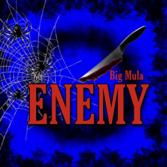 Enemy