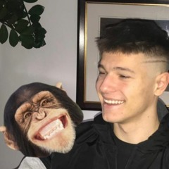 M3D - Majmun I Građevinac (dRIll CaJkA)