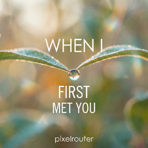When I First Met You
