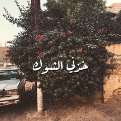 نهلة عبد الوهاب | خذني الشوگ بجناحه