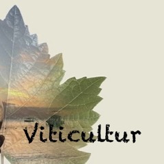 Viticultur-Evolution of Consciousness.wav