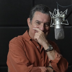 Can't Help Falling In Love