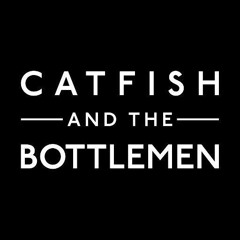 Catfish And The Bottlemen - Pacifier (acoustic cover)