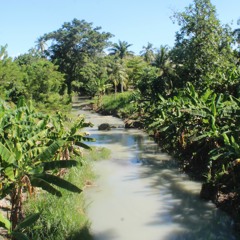 Le Jardin botanique des Cayes maintient ses activités malgré la crise sociopolitique