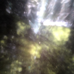 Shade and the Sun (Demo)