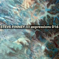 STEVE FINNEY /// expressions 016