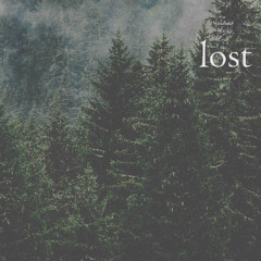 lost (naviarhaiku624)